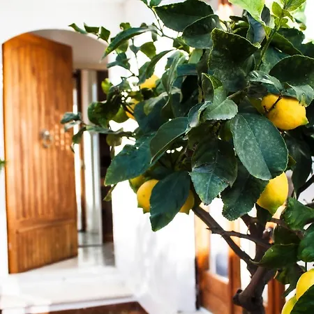 Taonasi * Taormina